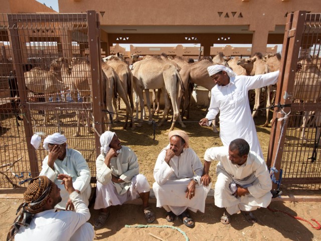 camel market al ain